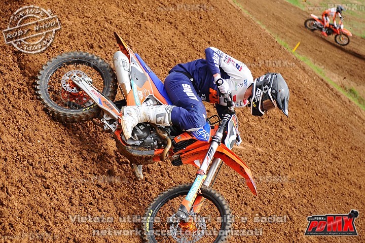 DSC_7569 (Copy).jpg
